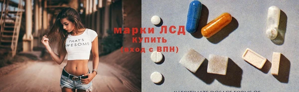 твердый Новозыбков