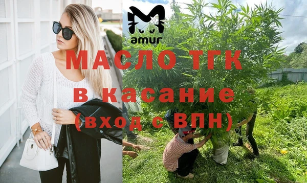 твердый Новозыбков