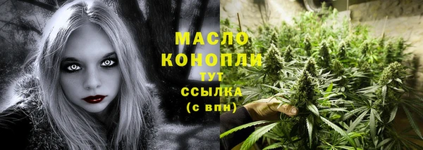 твердый Новозыбков
