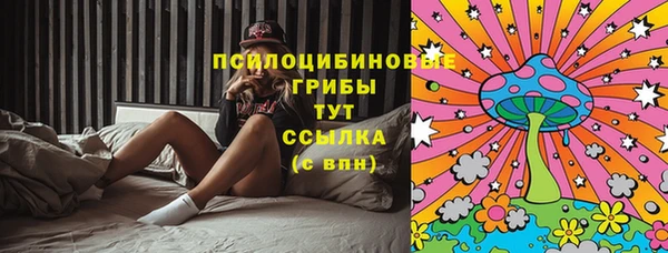 твердый Новозыбков