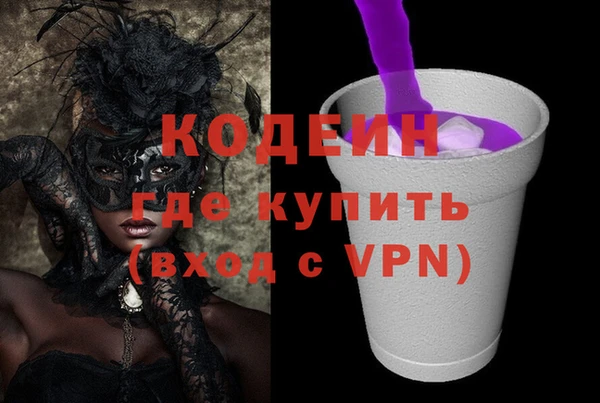 дживик Новодвинск