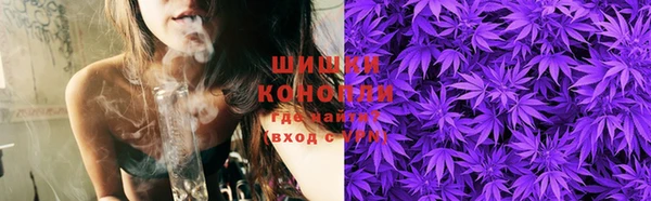 дживик Новодвинск
